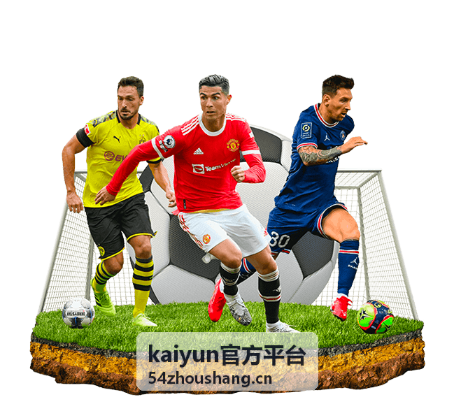 kaiyun官方平台平台使用指南封面图