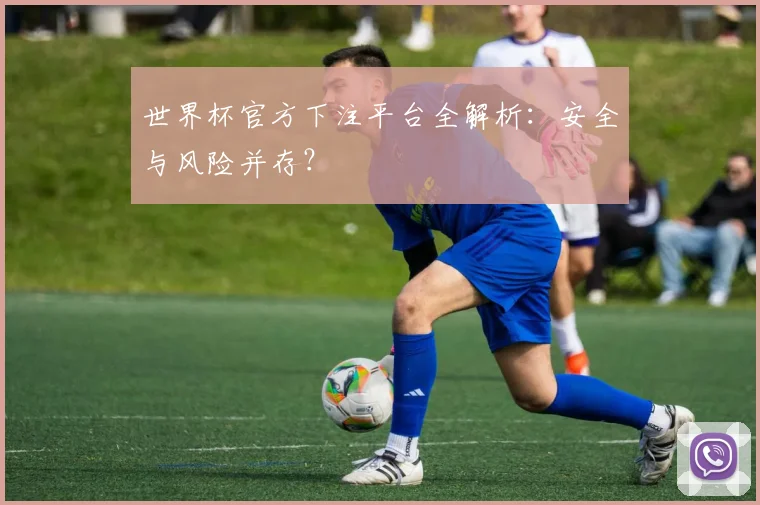 世界杯官方下注平台全解析：安全与风险并存？